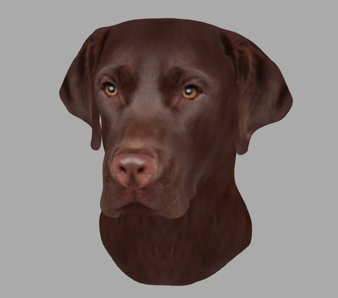 PBR Game 3D Models – Printable Brown Labrador Head Wall Mount 15 Cm