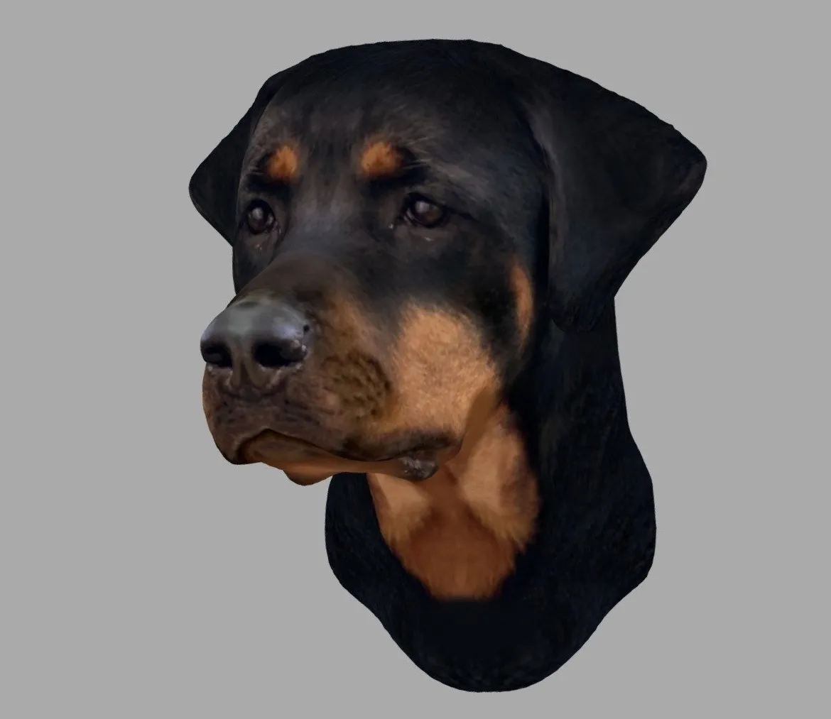 PBR Game 3D Models – Printable Doberman Wall Mount Head 15 Cm