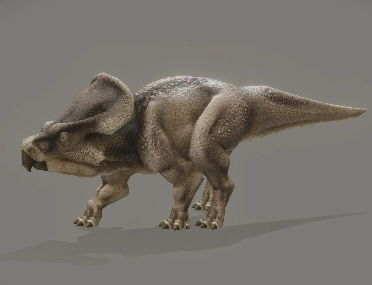 PBR Game 3D Models – Protoceratops Andrewsi