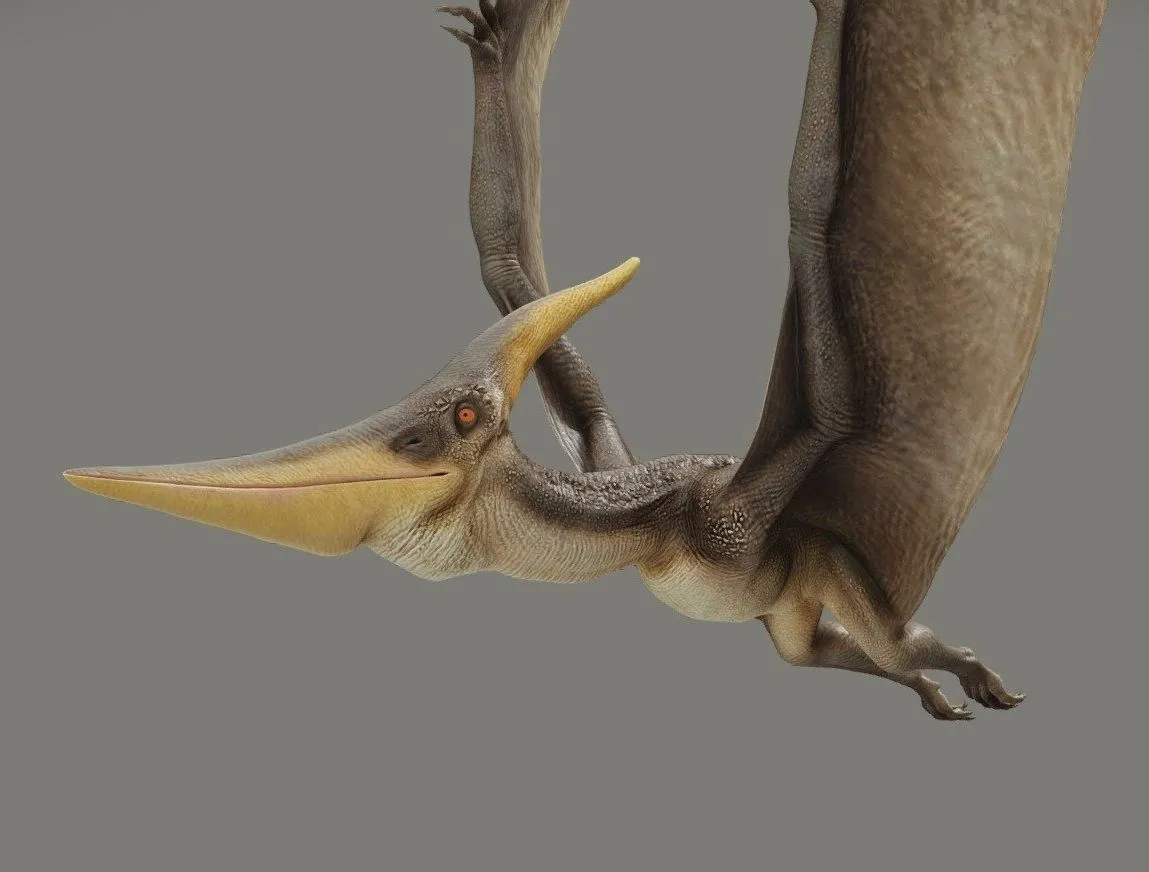 PBR Game 3D Models – Pteranodon Longiceps