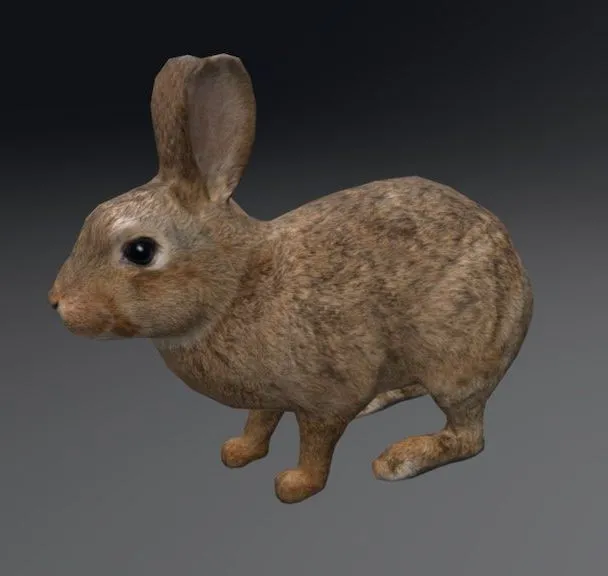 PBR Game 3D Models – Rabbit 2