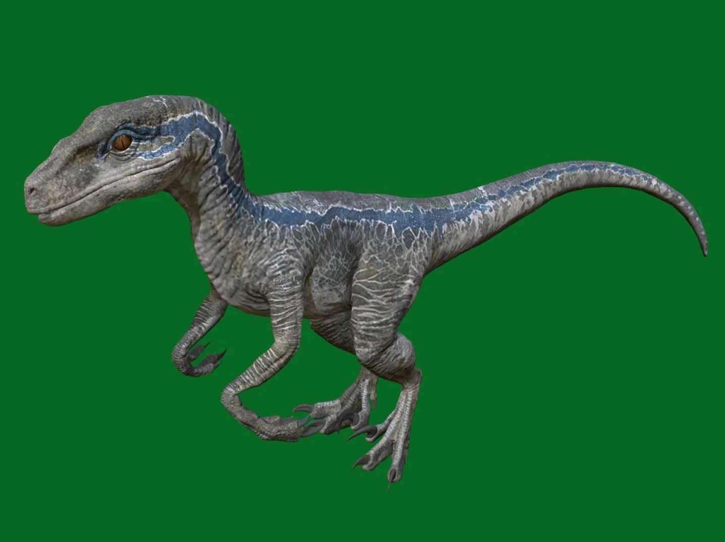 PBR Game 3D Models – Raptor Blue