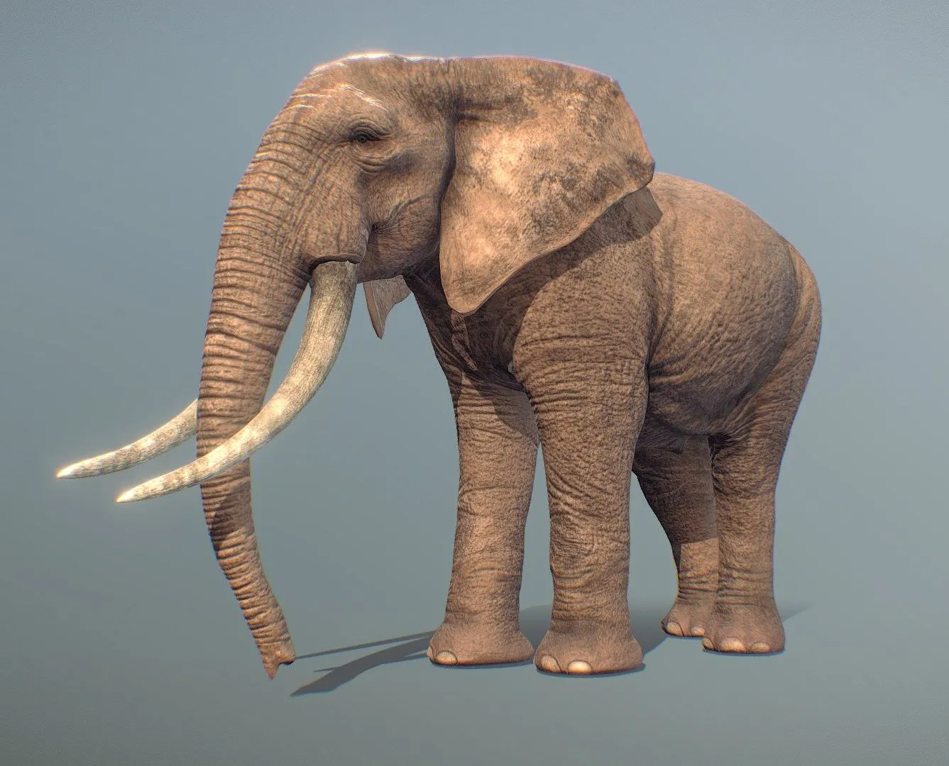 PBR Game 3D Models – Realistic Elephant