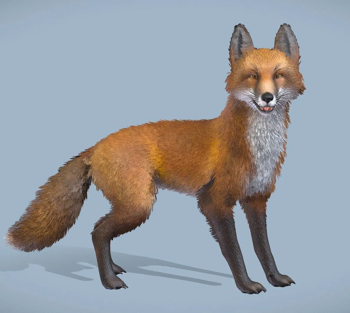 PBR Game 3D Models – Realistic Fox