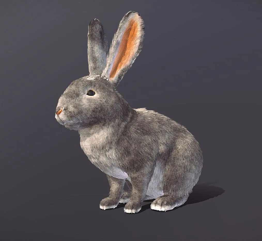 PBR Game 3D Models – Realistic Rabbit