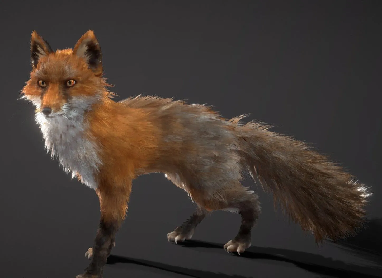 PBR Game 3D Models – Red Fox