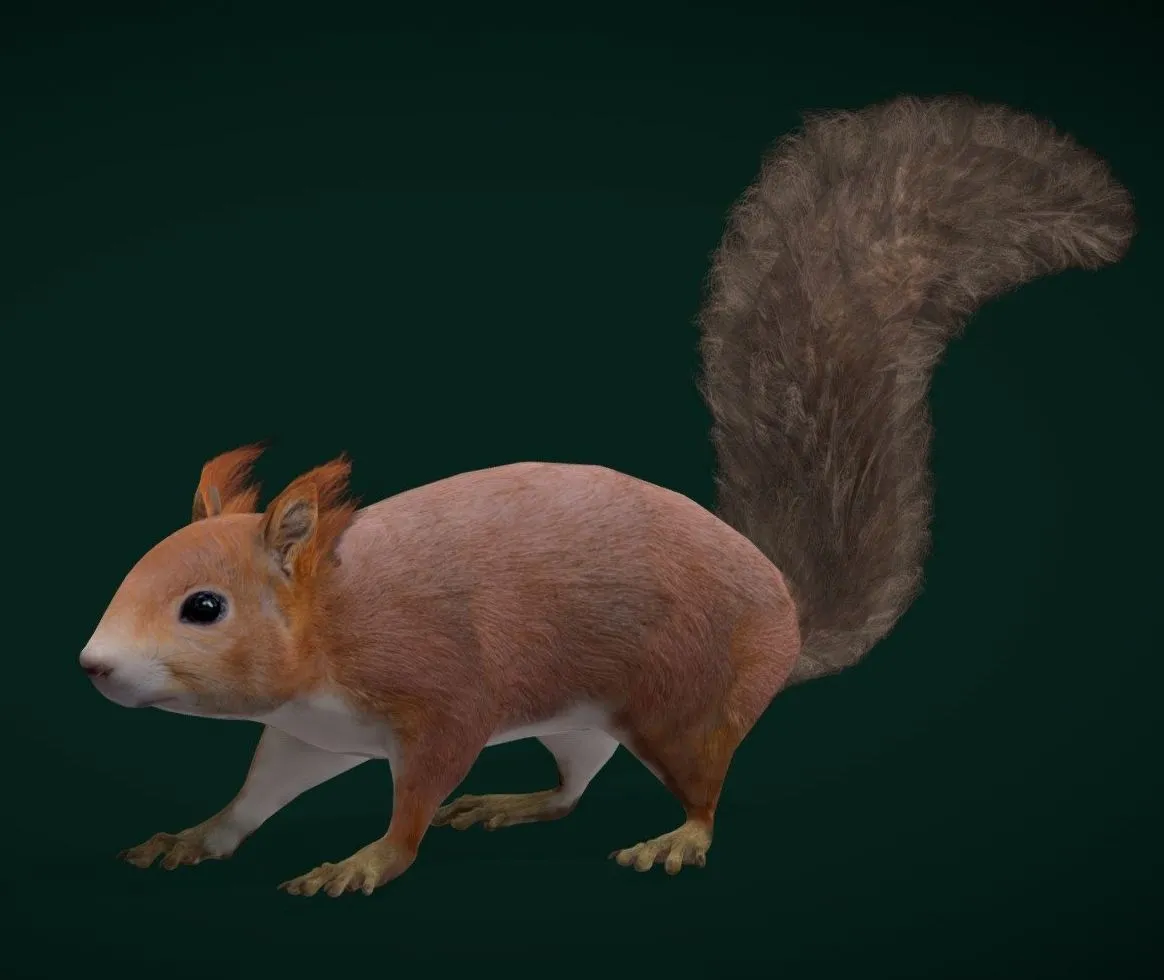 PBR Game 3D Models – Red Squirrel Game Ready