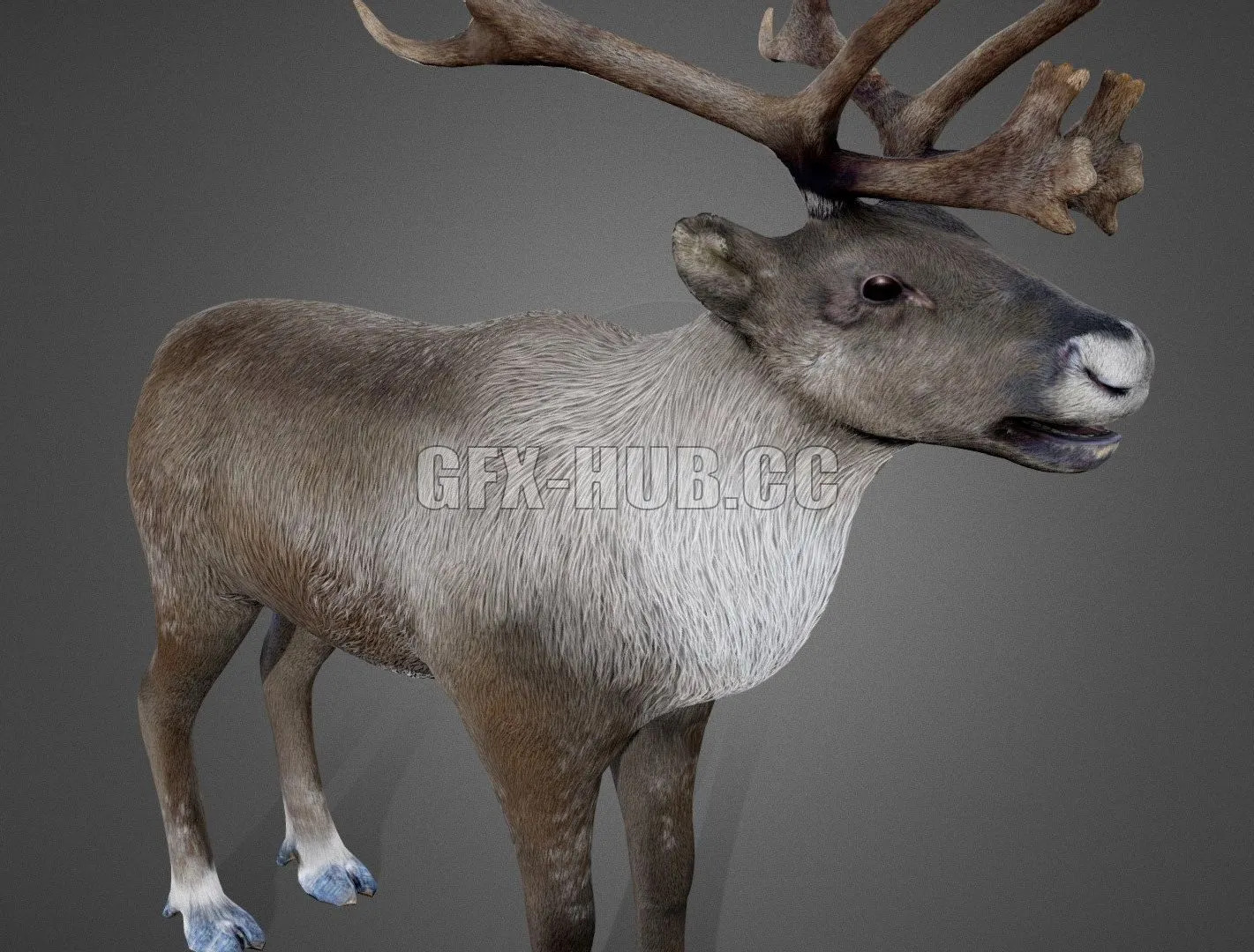 PBR Game 3D Models – Reindeer