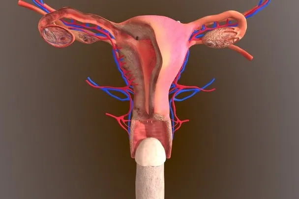 PBR Game 3D Models – Reproduction Process V5