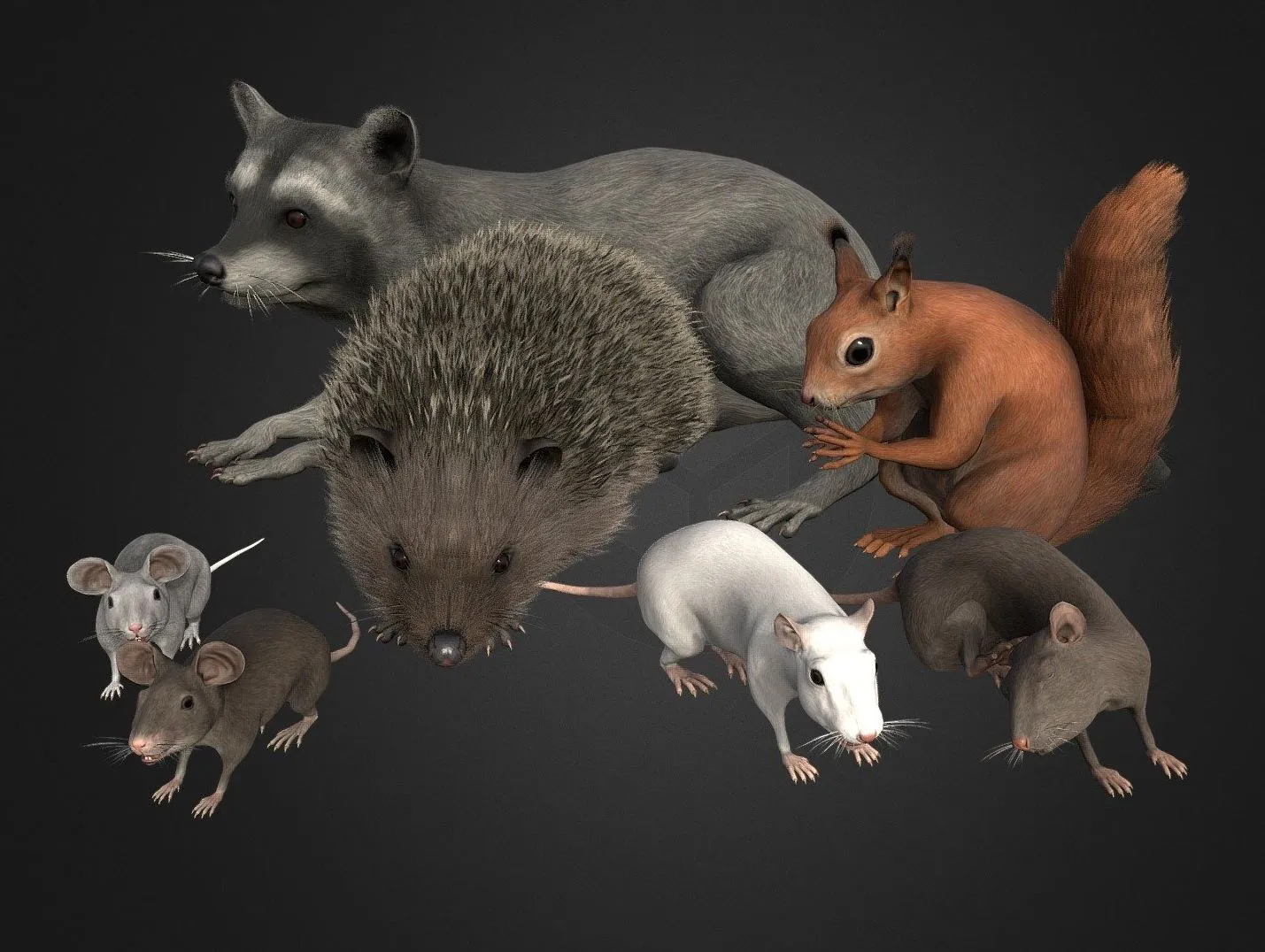 PBR Game 3D Models – Rodents Pack