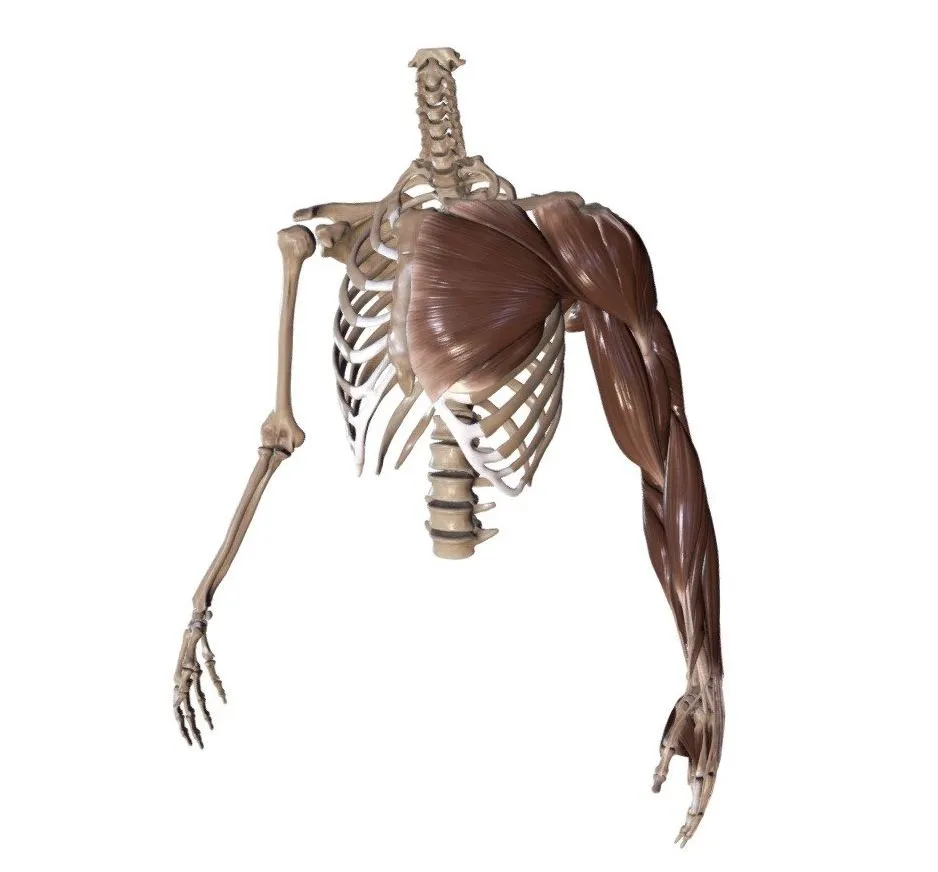 PBR Game 3D Models – Roka