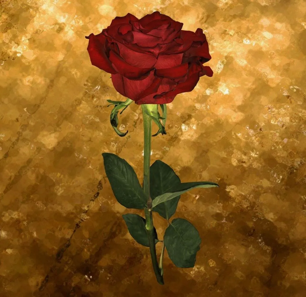 PBR Game 3D Models – Rose