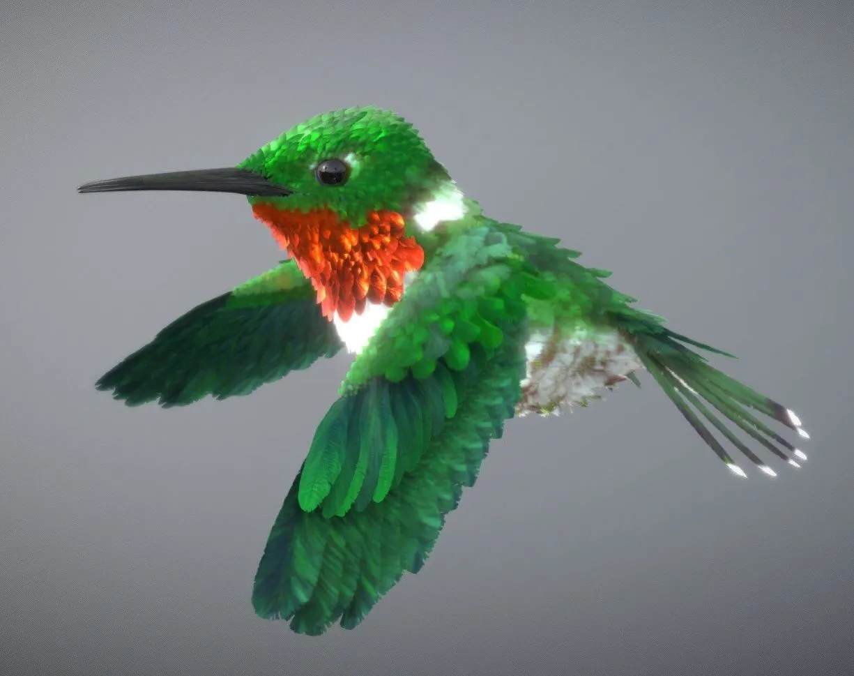 PBR Game 3D Models – Ruby Throated Hummingbird