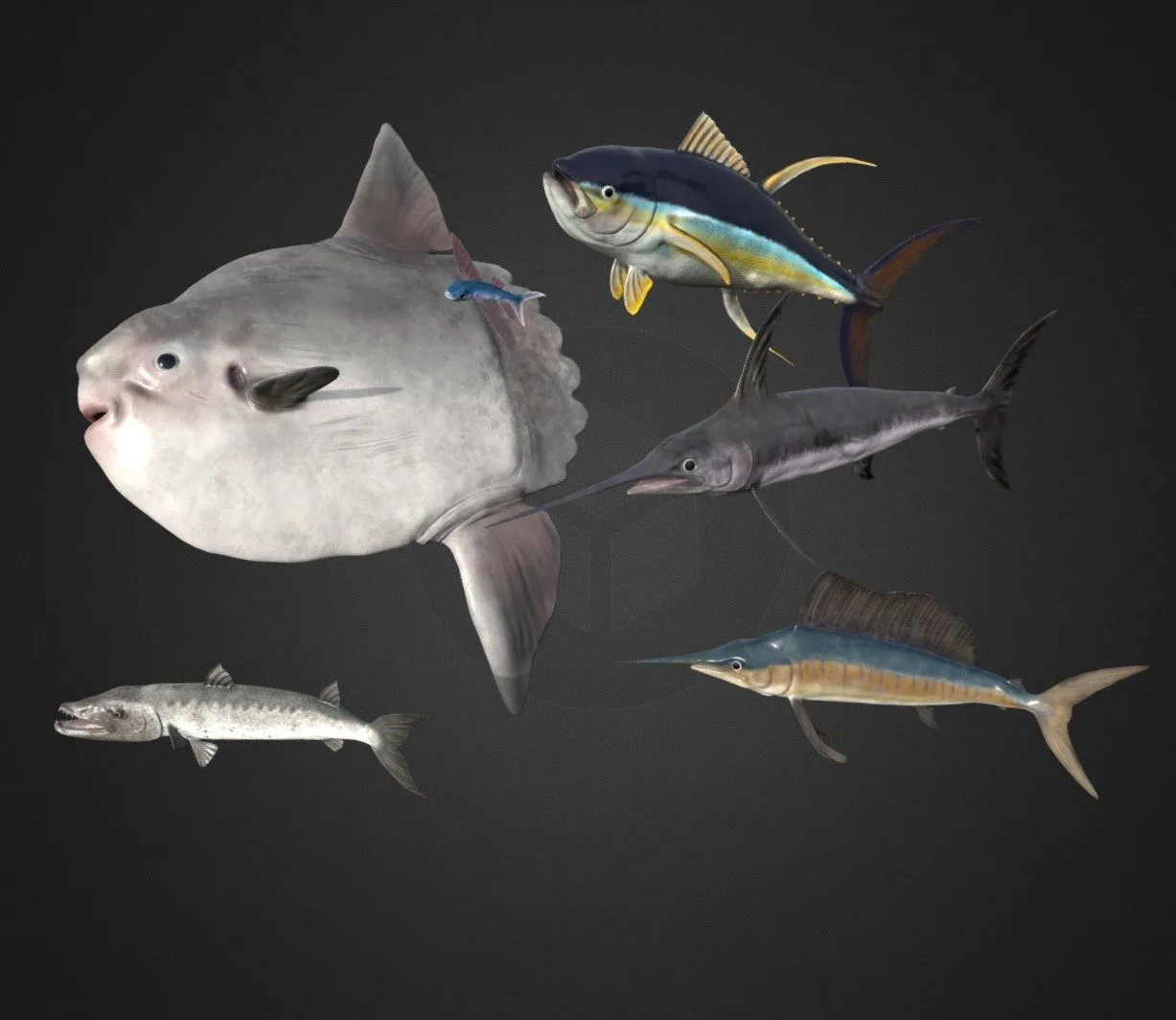 PBR Game 3D Models – Sea Fish Pack