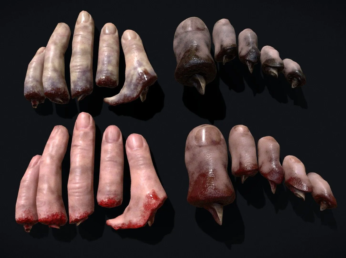 PBR Game 3D Models – Severed Fingers And Toes Horror Prop