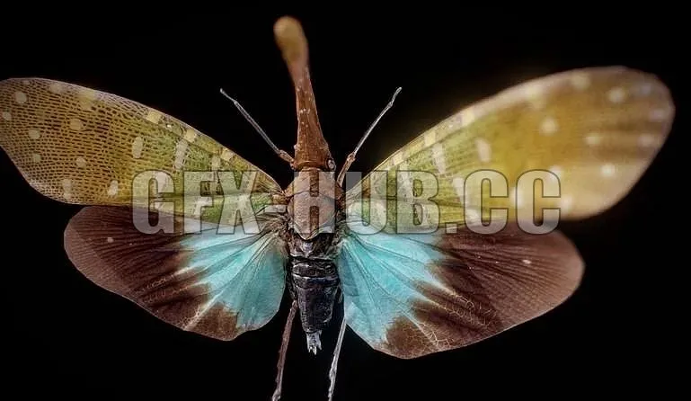 PBR Game 3D Models – share#more#gfx#hub#Pyrops Pyrorgyncha Borneo