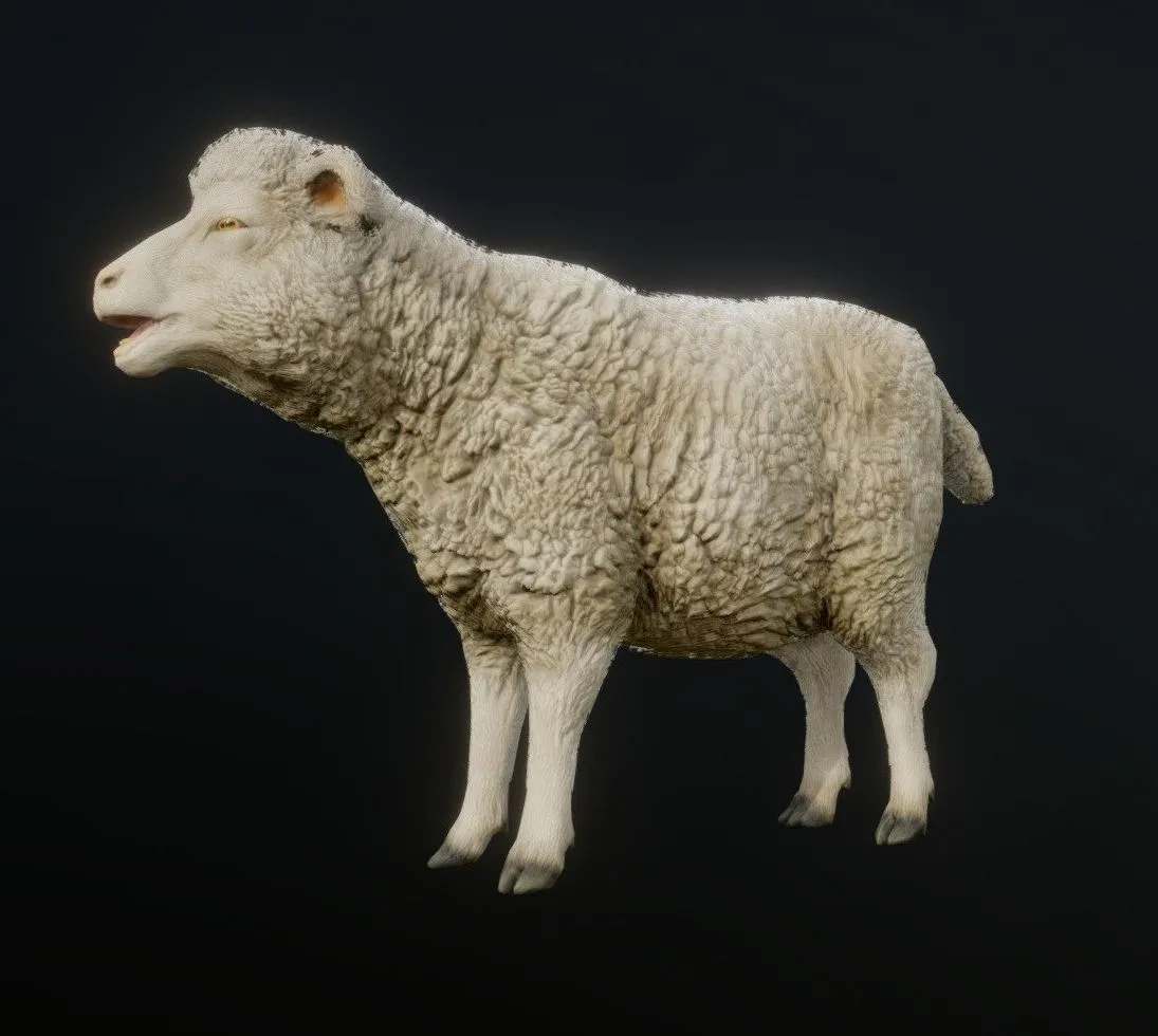 PBR Game 3D Models – Sheep Animations