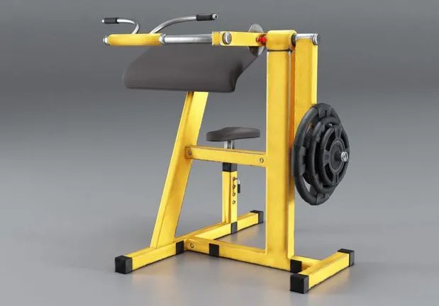 PBR Game 3D Models – Simulator trainer for Biceps