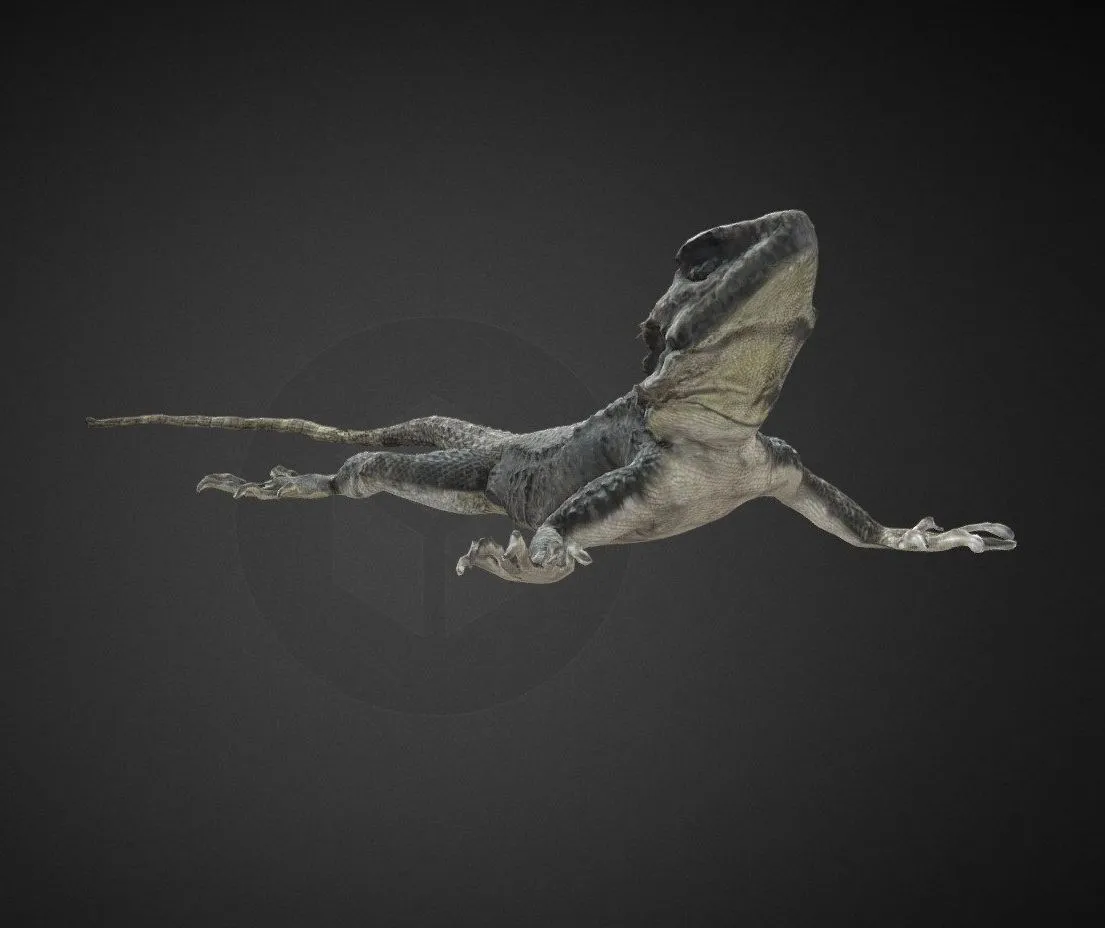 PBR Game 3D Models – Sling Tail Lizard Animation 1