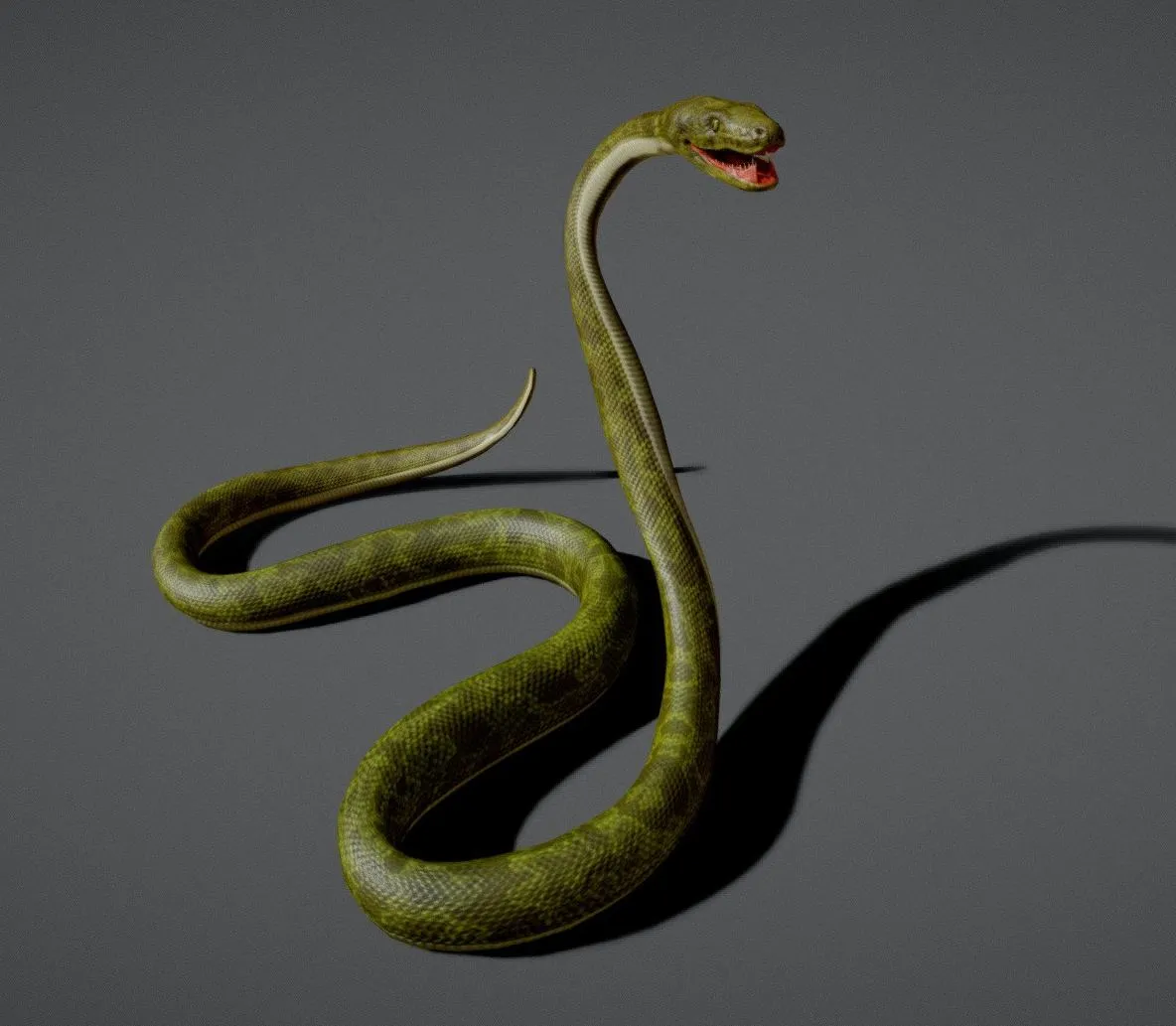 PBR Game 3D Models – Snake Boa