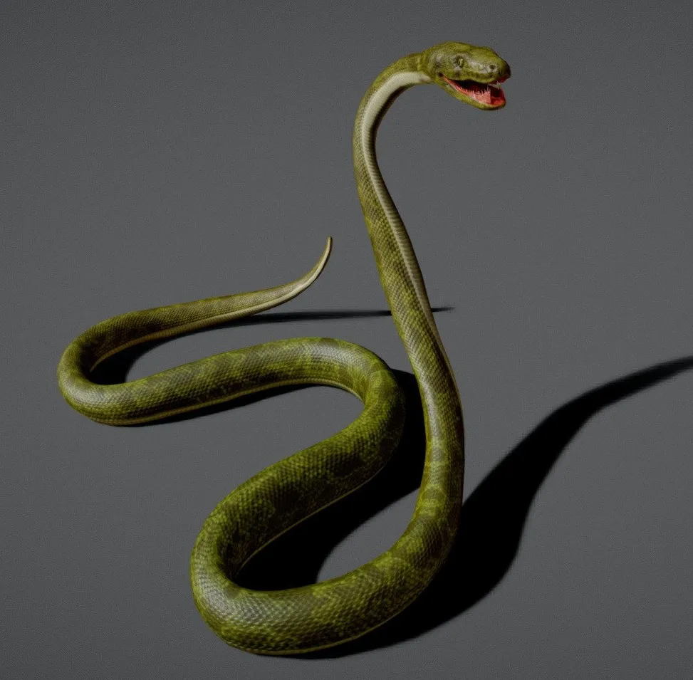 PBR Game 3D Models - Snake Boa