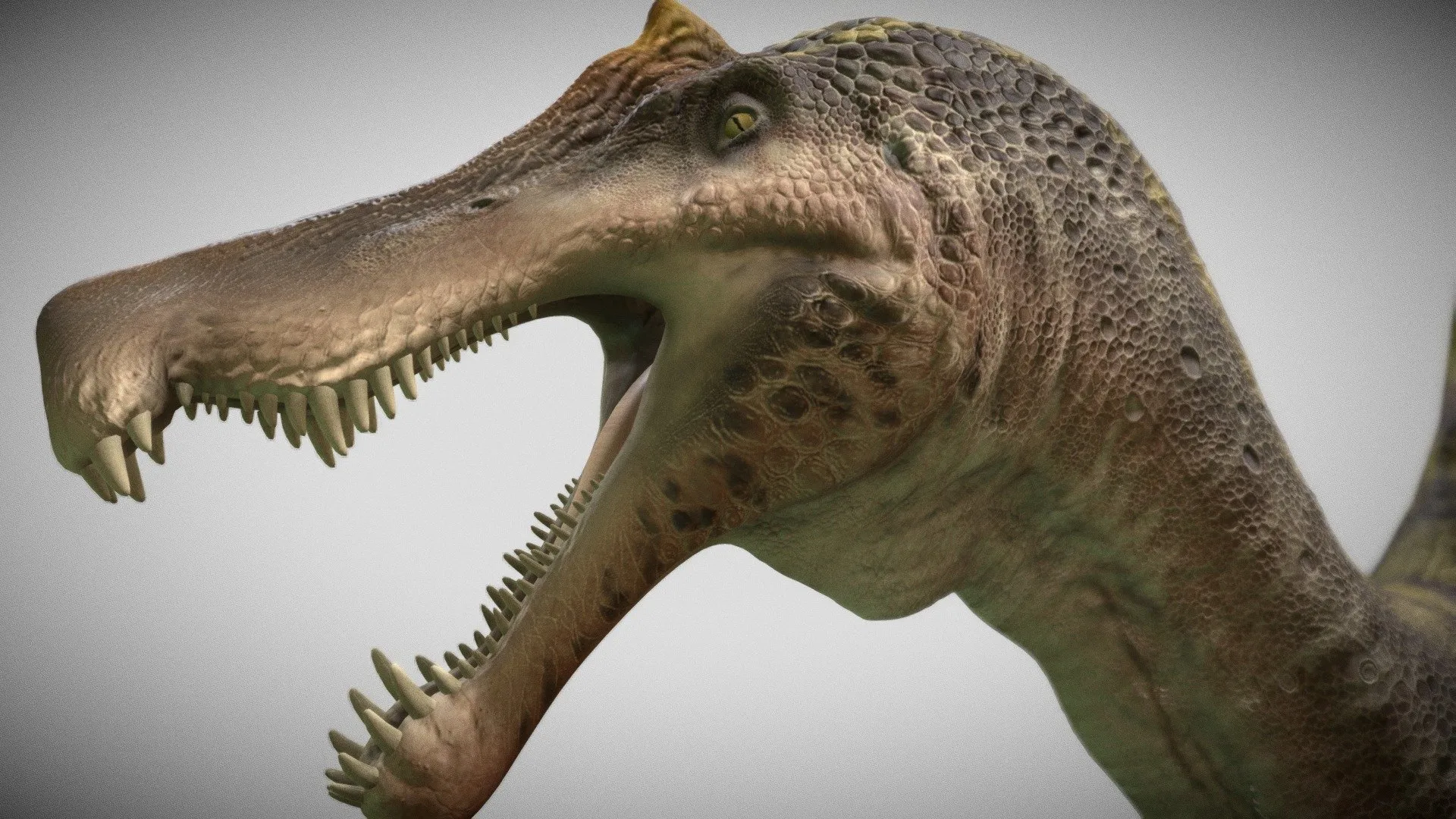 PBR Game 3D Models – Spino2023