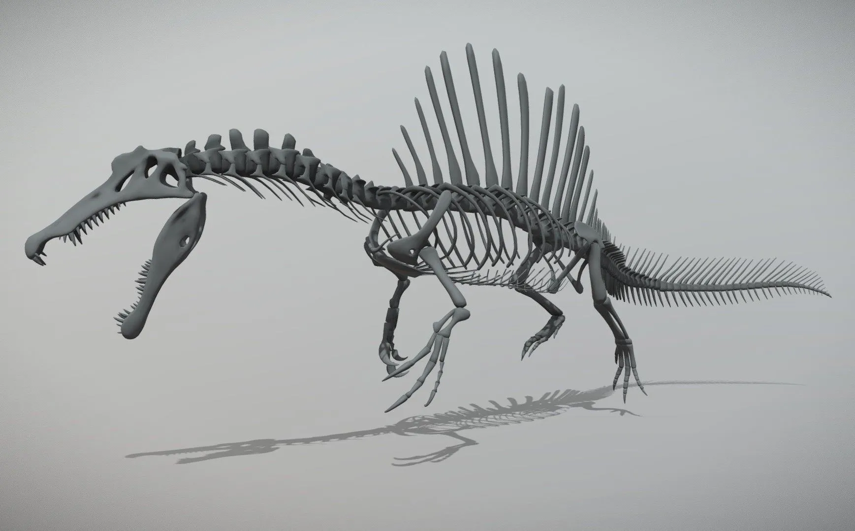 PBR Game 3D Models – Spinosaurus Skeleton