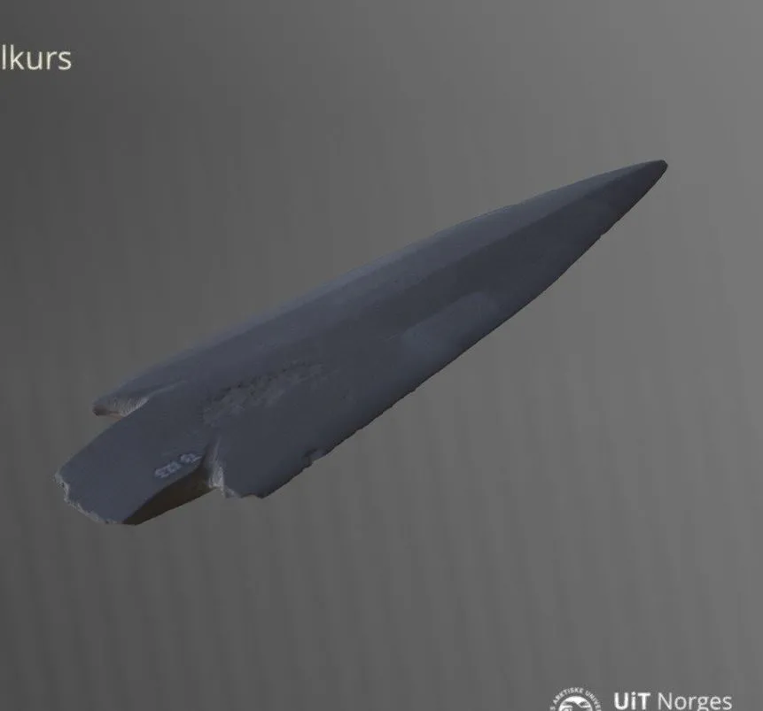 PBR Game 3D Models – Spydspiss Ts123