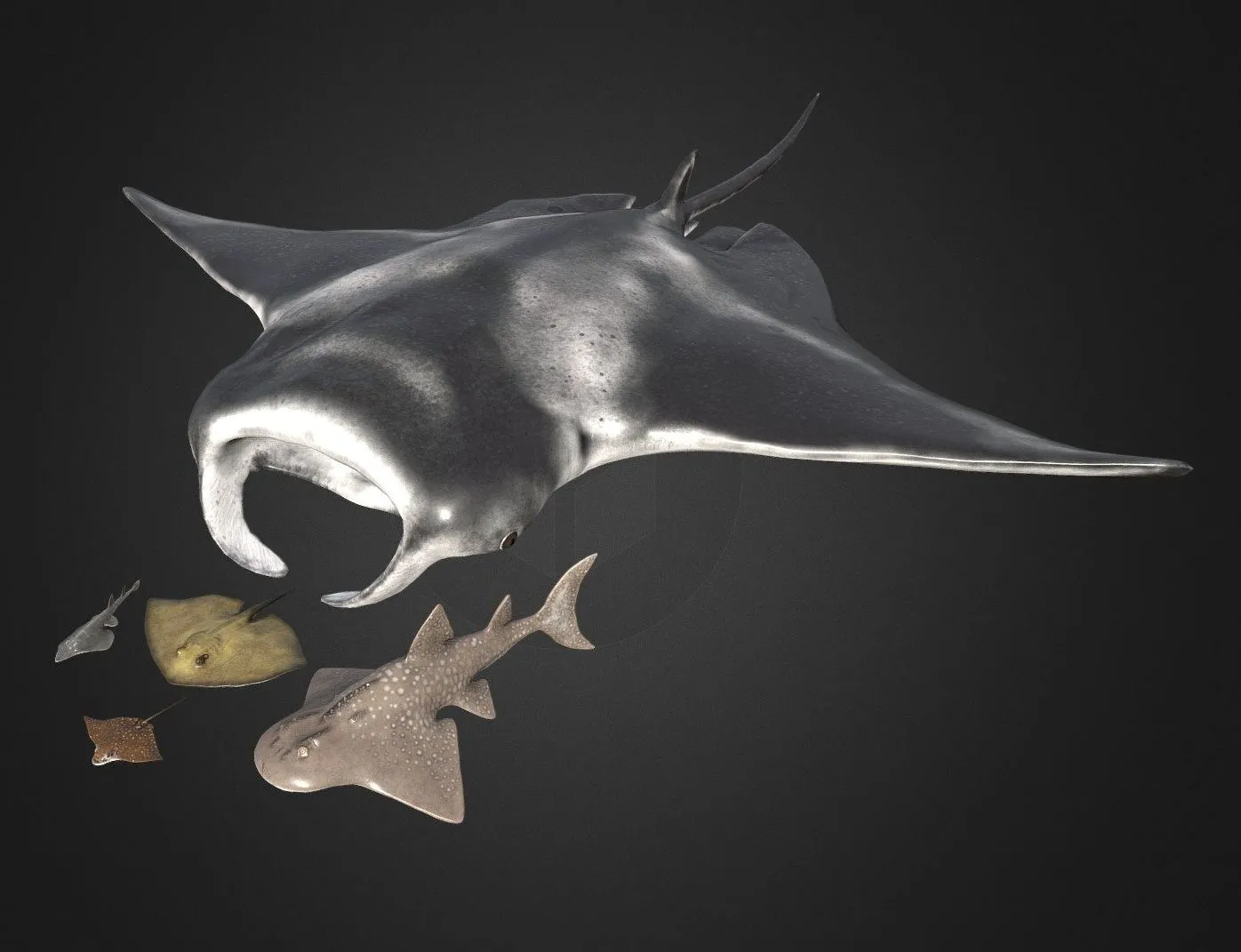 PBR Game 3D Models – Stingrays Pack