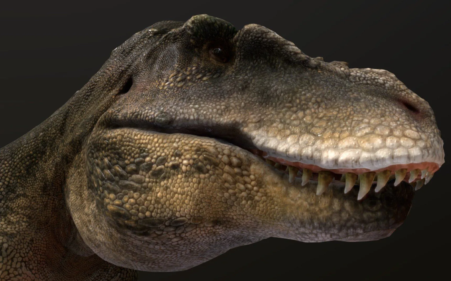 PBR Game 3D Models – Tarbosaurus