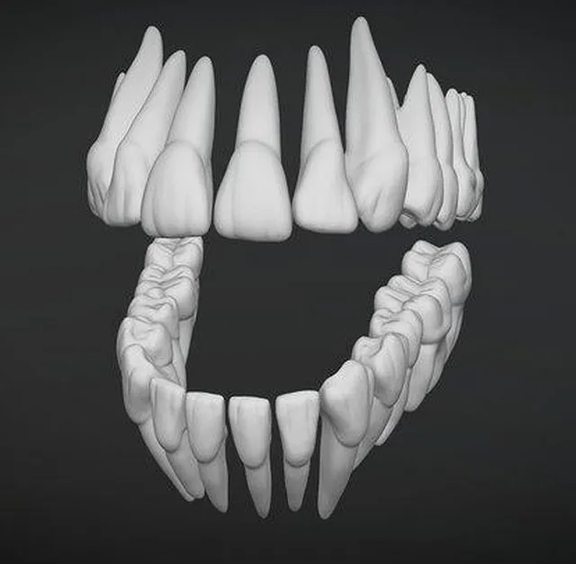 PBR Game 3D Models – Teeth Dientes