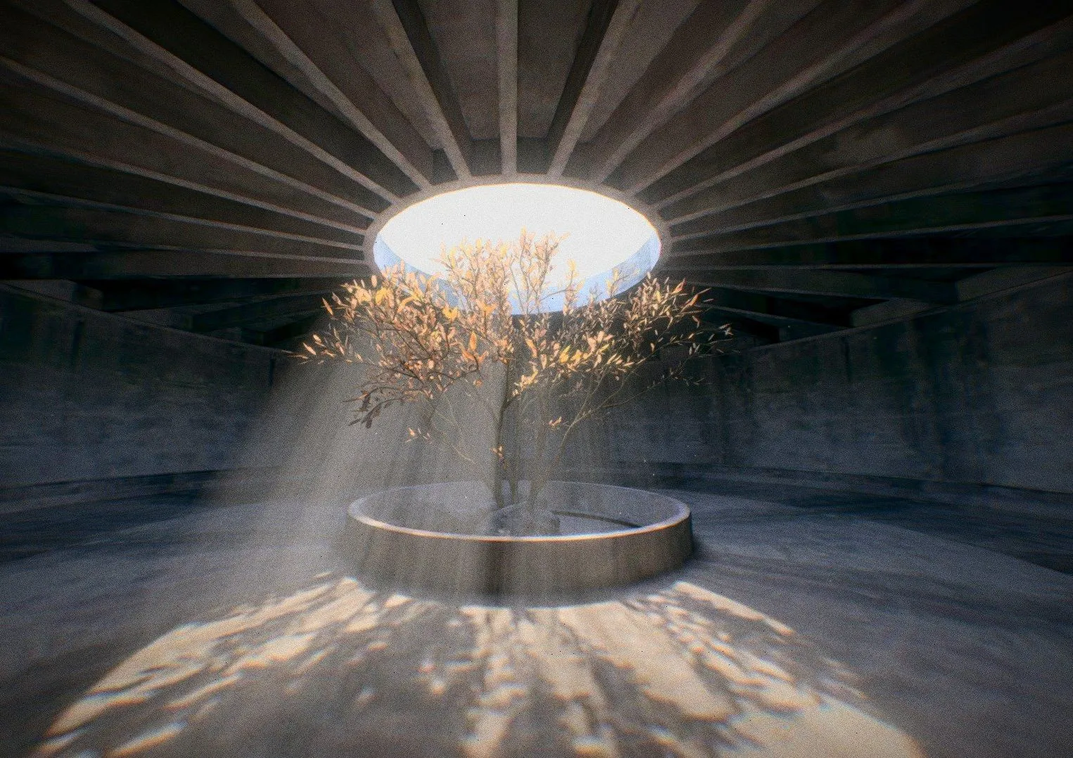 PBR Game 3D Models – The Last Tree