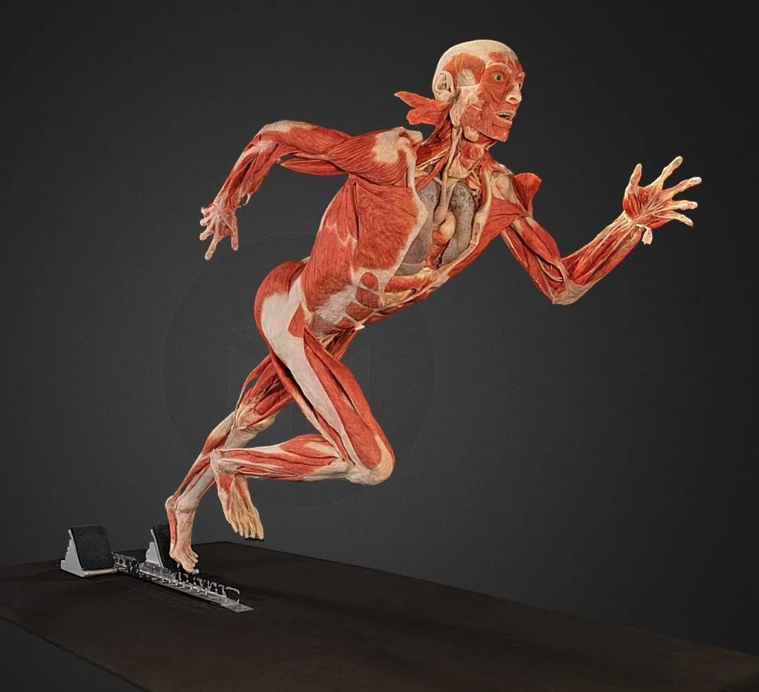 PBR Game 3D Models – The Runner