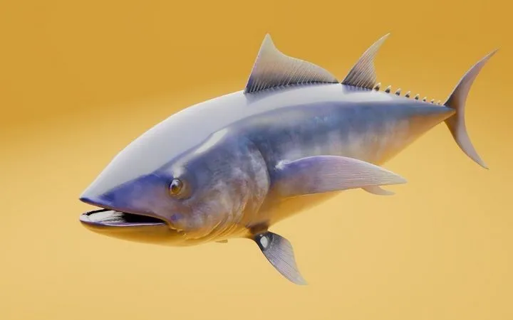 PBR Game 3D Models – Tuna fish