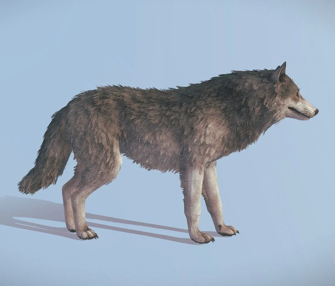 PBR Game 3D Models – Wolf Realistic