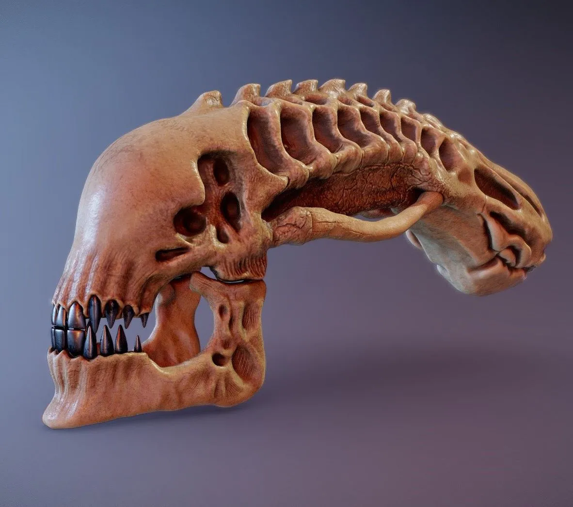 PBR Game 3D Models – Xenomorph Skull