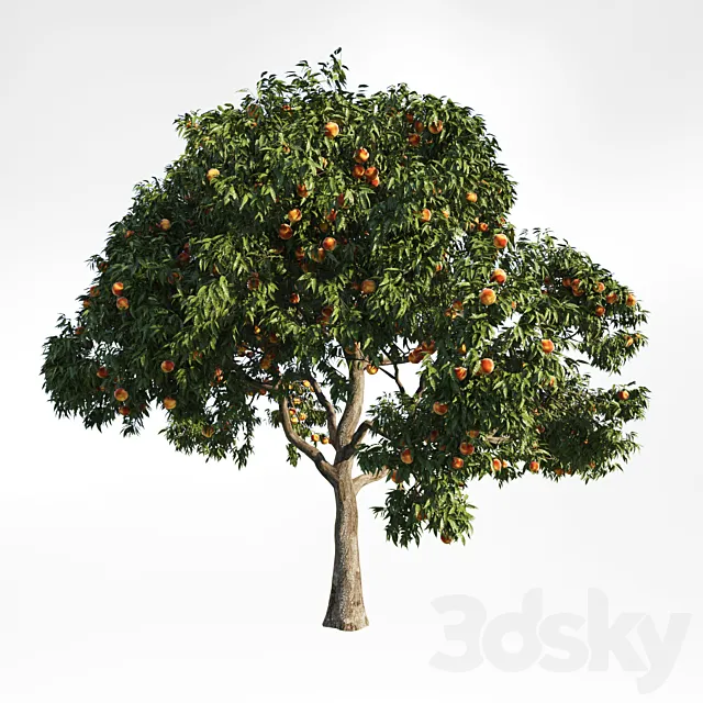 peach tree 9 3D Model peach tree 9 3D Model