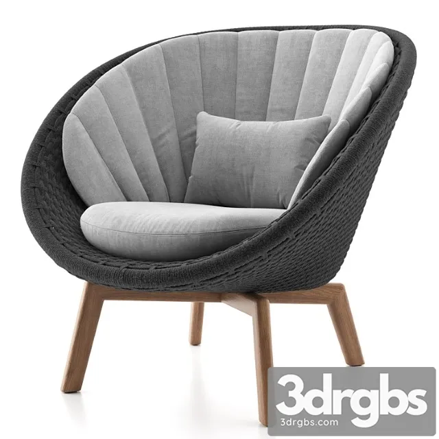 Peacock lounge chair Peacock lounge chair