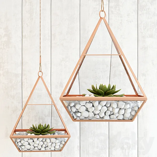 Pedant succulents 3D Model Pedant succulents 3D Model