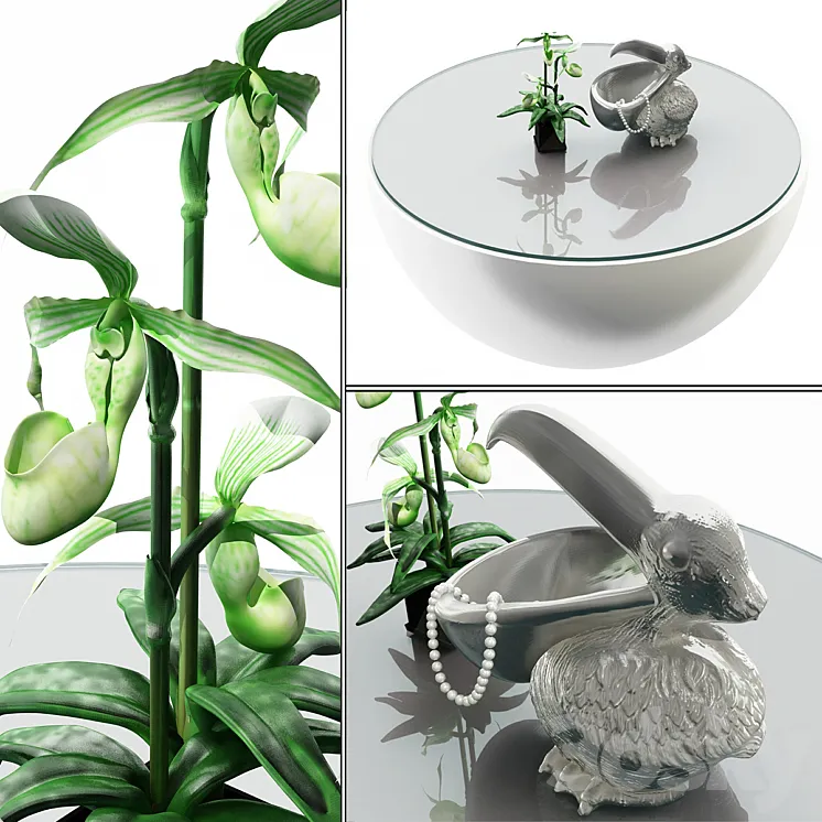 Pelican and orchids 3D Model Free Download
