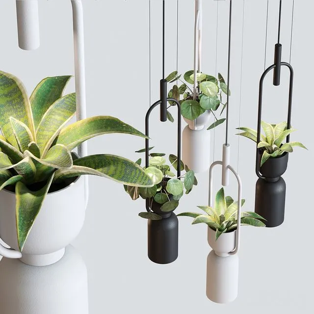 Pendant lamp luxcambra OXYGEN 3D Model