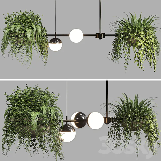 pendant light Indoor & outdoor plants hanging pot 3D Model