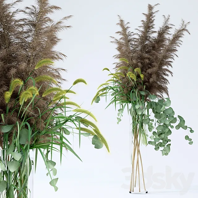 Pennisetum & Pampas grass & Eucalyptus 3DModel Pennisetum & Pampas grass & Eucalyptus 3DModel