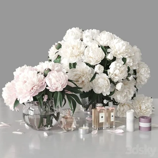 Peonies 2 3D Model