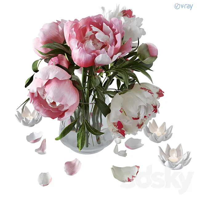 Peonies 3D Model