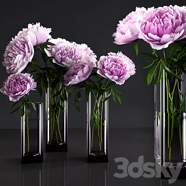 Peonies 3DModel Peonies 3DModel