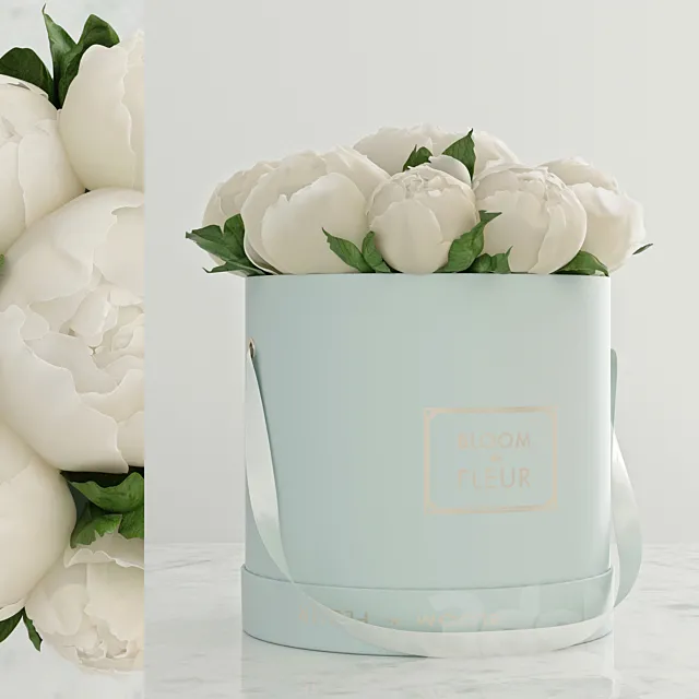 Peonies 3DModel