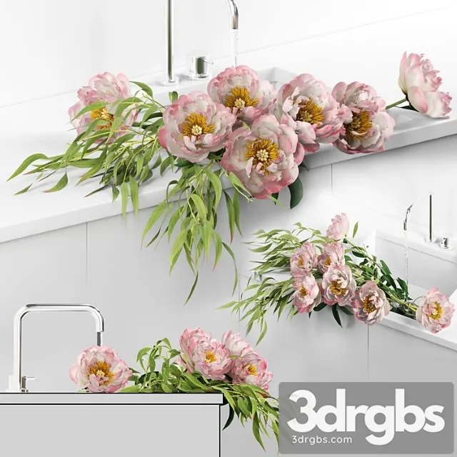Peonies in sink 3D Model Download