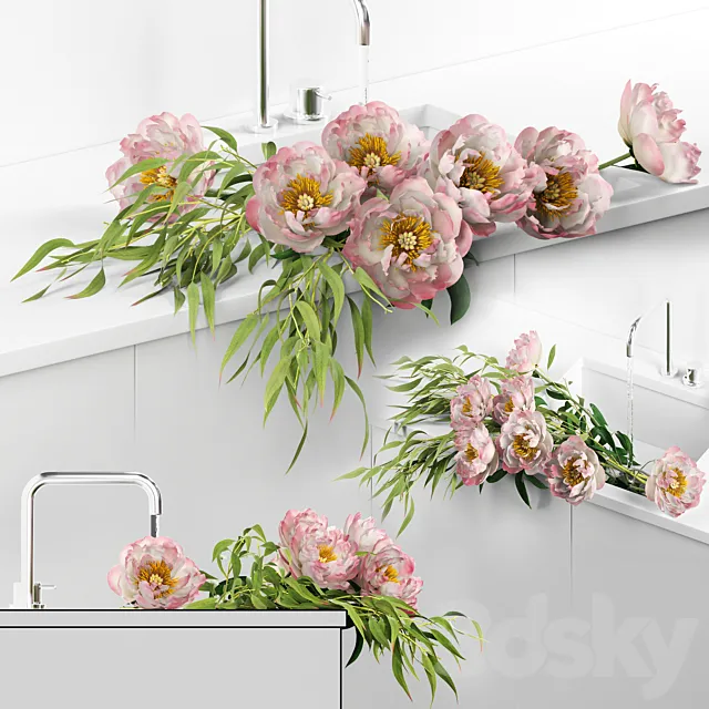 Peonies in sink 3DModel