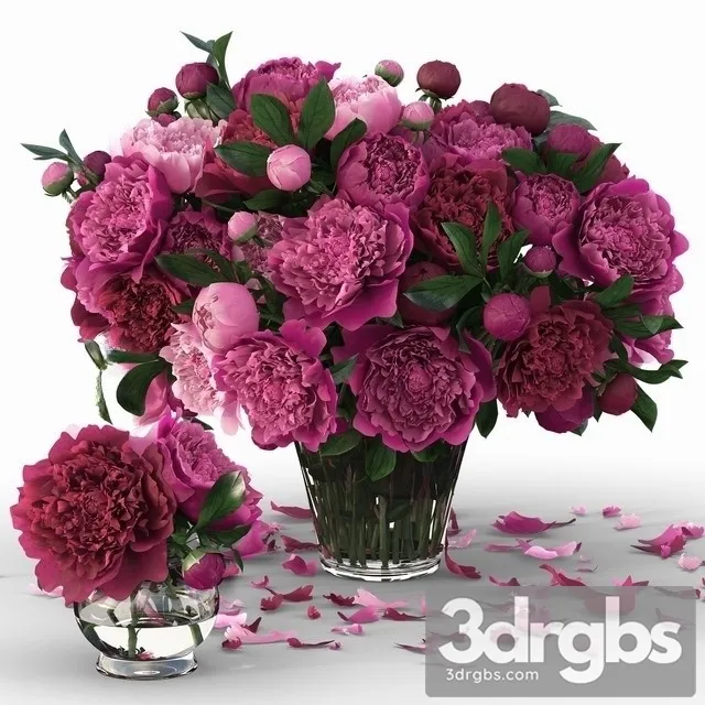 Peonies Purple Bouquet 3D Model Download Peonies Purple Bouquet 3D Model Download
